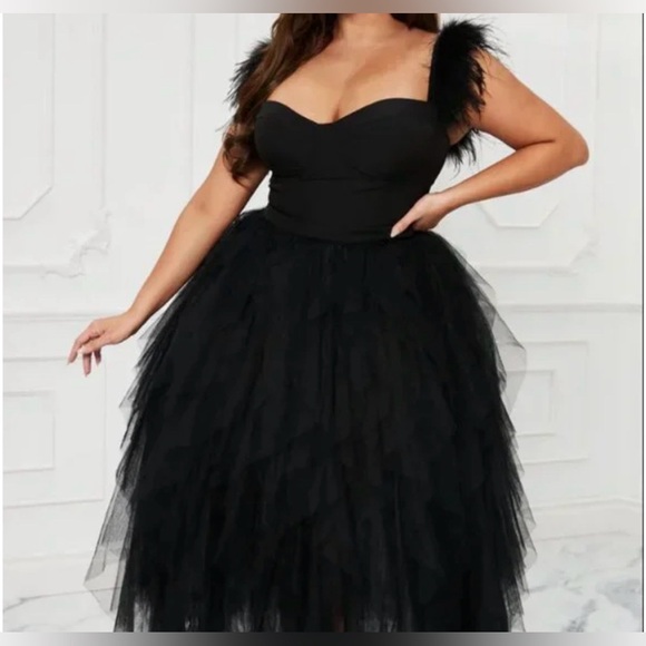 Fashion Nova Dresses & Skirts - Fashion Nova Black Feathered Tulle Dress